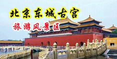内射丰满女老师出白浆中国北京-东城古宫旅游风景区